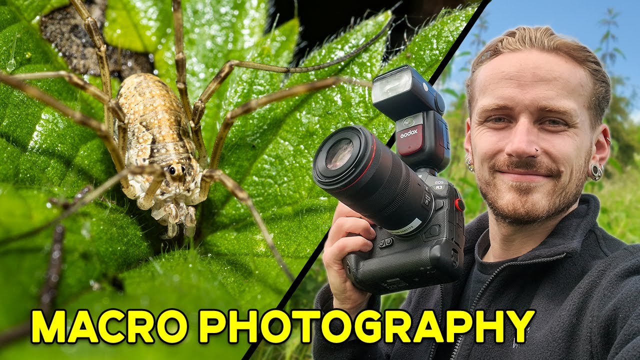 Photographing Strange UK Insects & Spiders