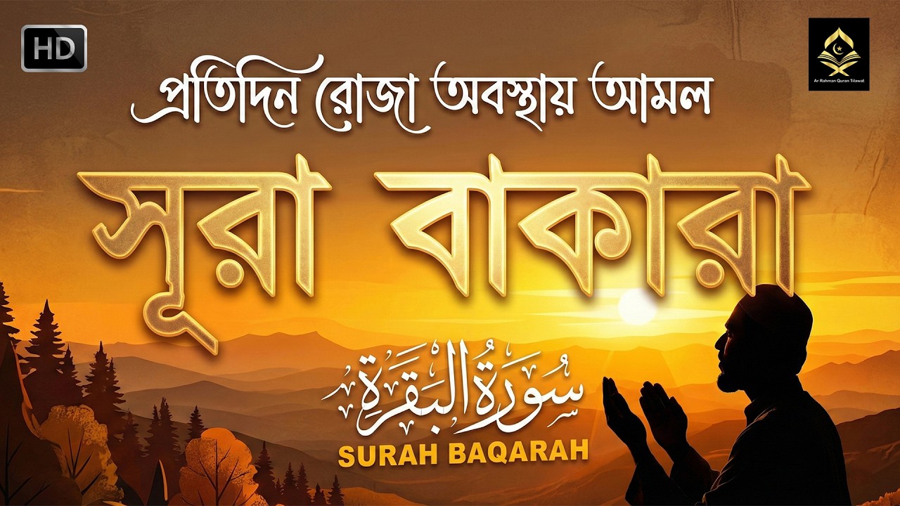 (রমজান মাসের আমল ) সুরেলা সূরা বাকারা | Quran Tilawat Surah Baqarah سورة البقرة Alaa Aql