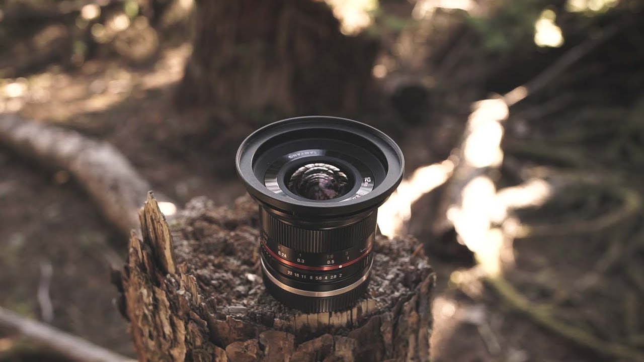Best Wide Lens For Micro 4/3? | Rokinon 12mm Review