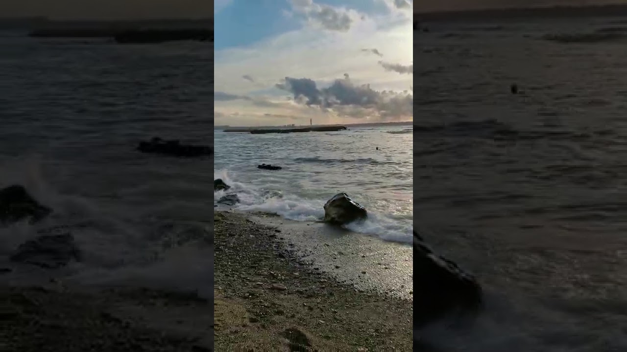 Alger plage