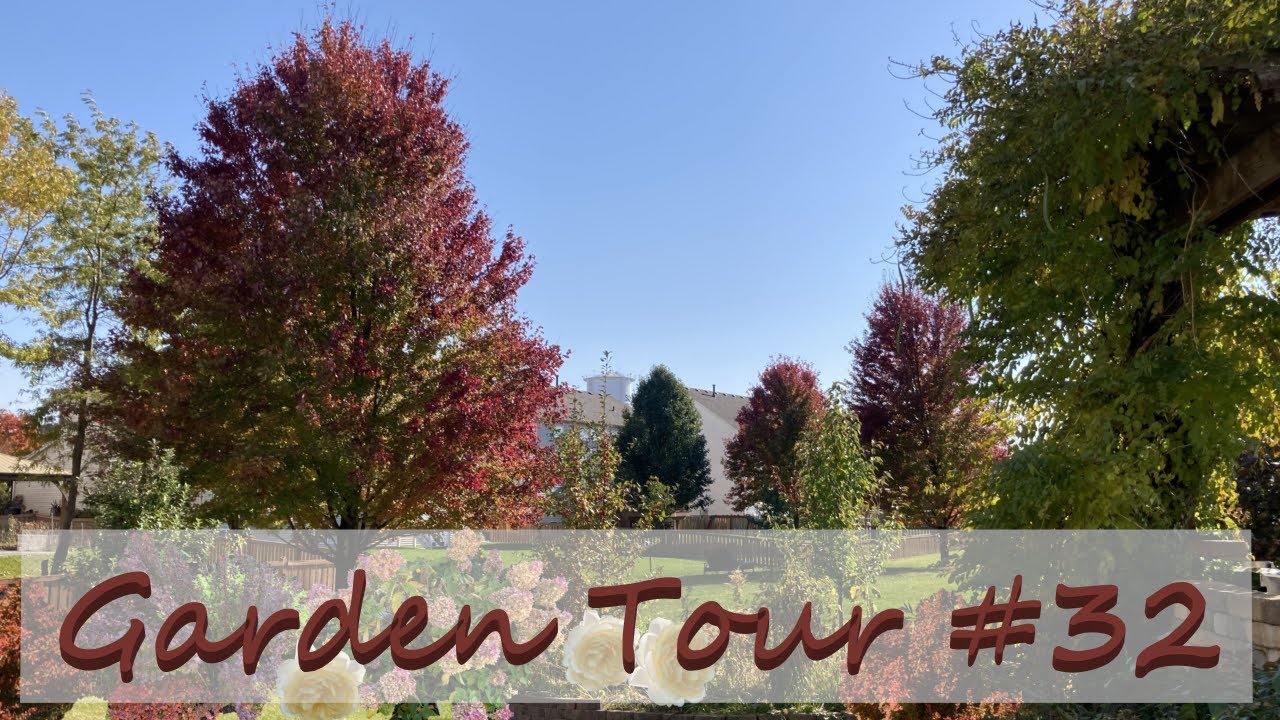 Illinois Zone 5 Garden Tour #32 - October 2022