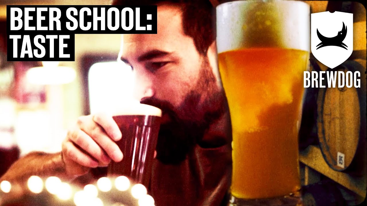 What To Look Out For When Tasting Beer | Beer School | BrewDog