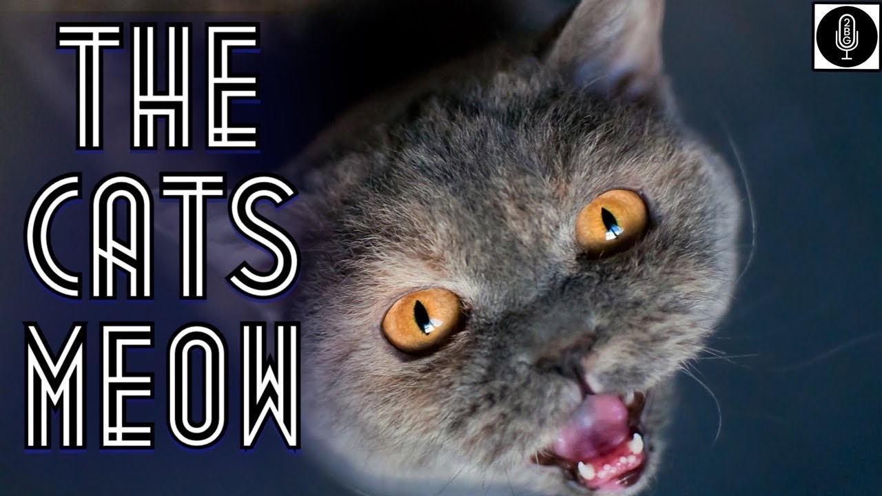 2BG Potcast Friday Night Smoke Sesh - Season 3 - The Cats Meow