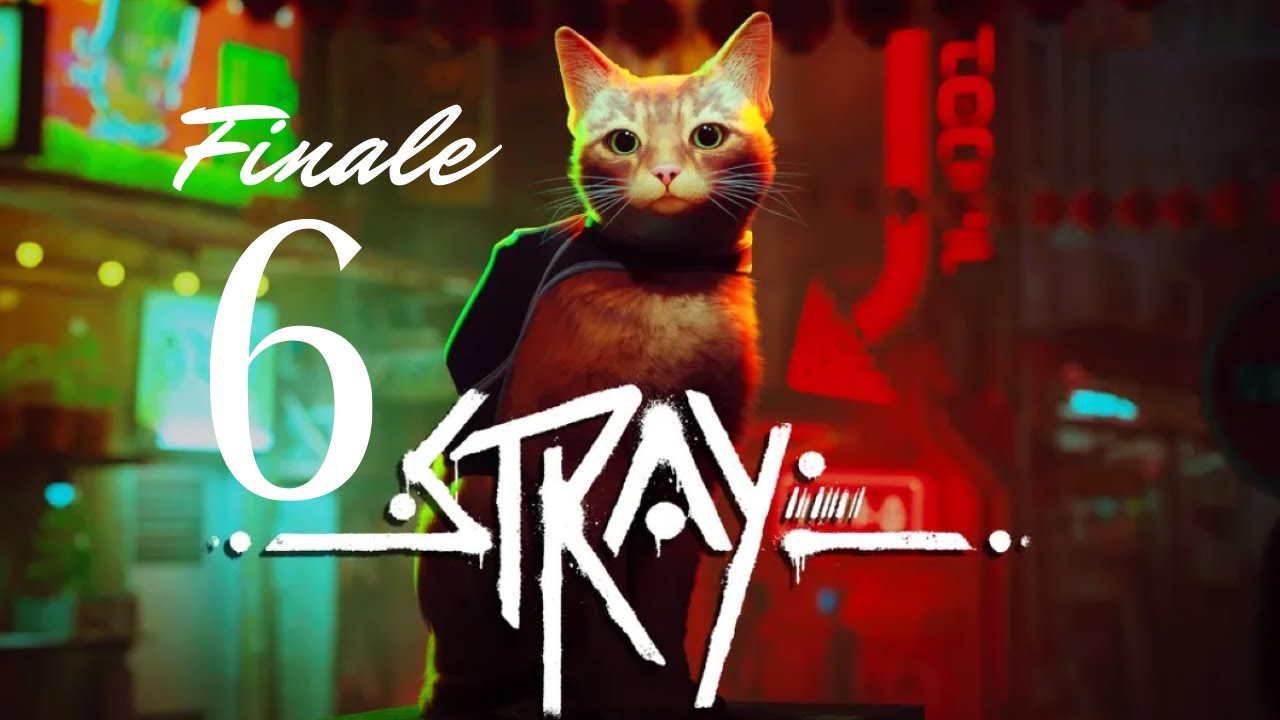 UN FINALE COMMOVENTE ( STRAY Gameplay ITA Ep.6 FINALE)