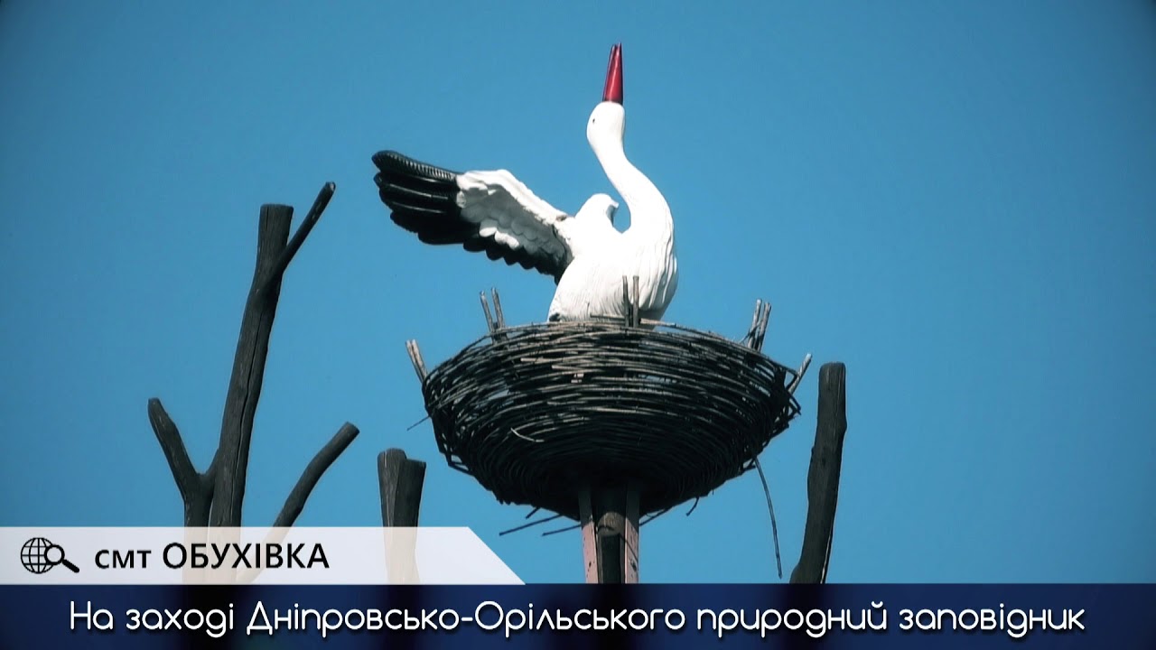 Проект 