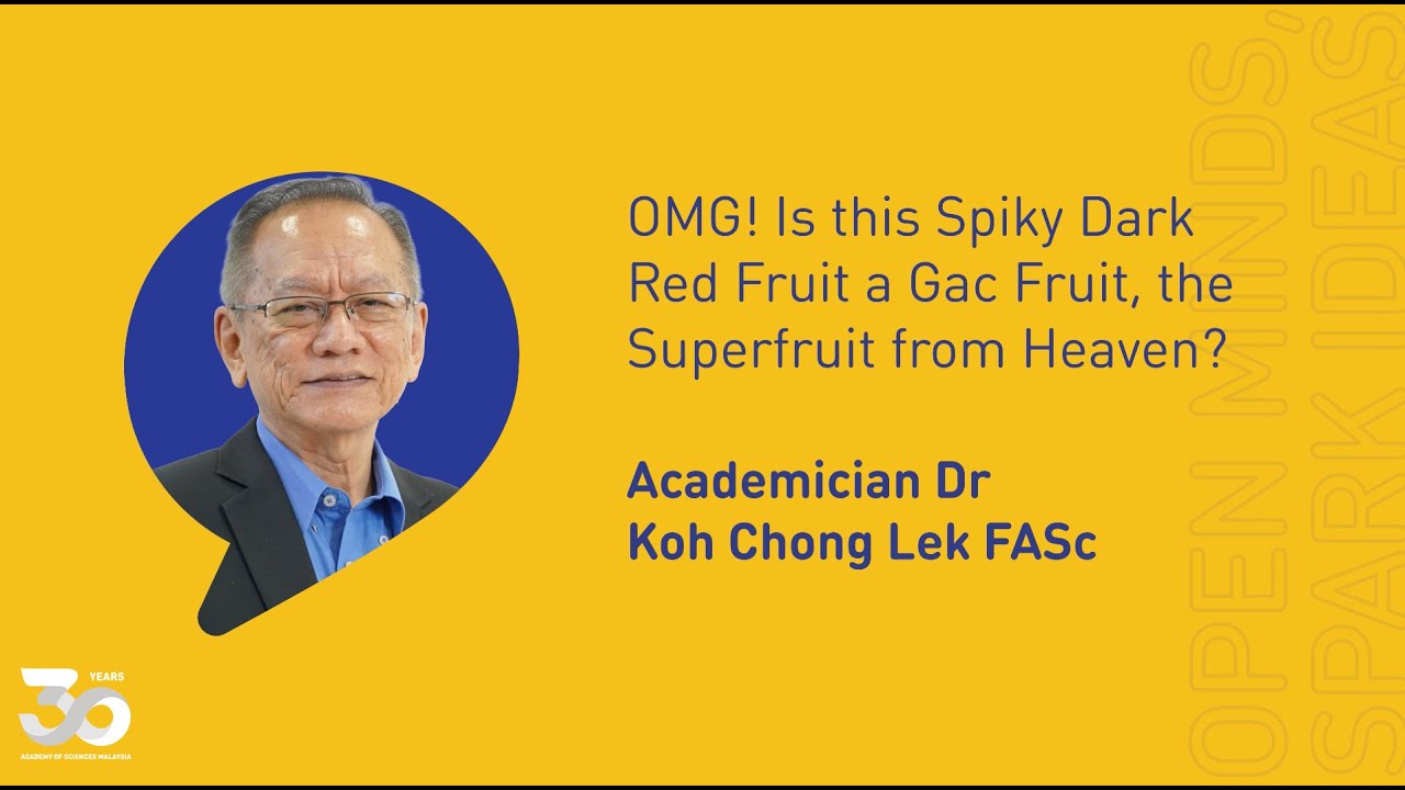 OMG! Is this Spiky Dark Red Fruit a Gac Fruit, the Superfruit from Heaven? | FAScinate™