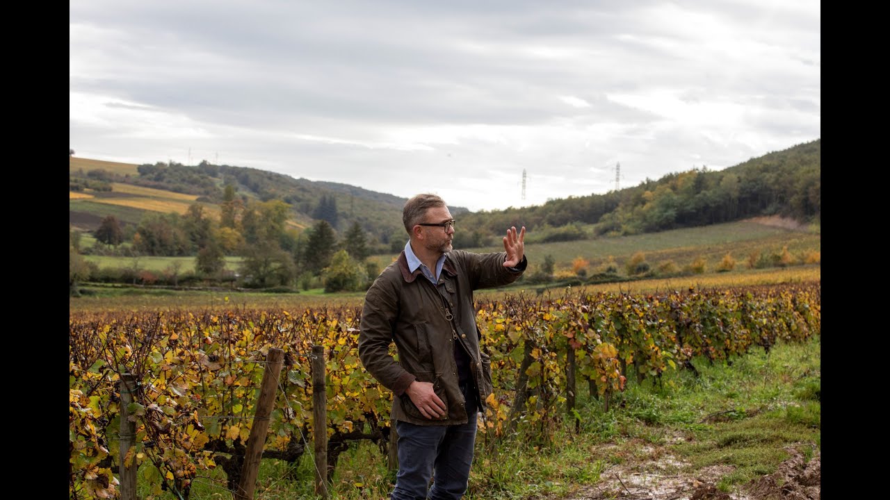 2023 vs 2024 Vintage at Domaine de Villaine - Pierre de Benoist