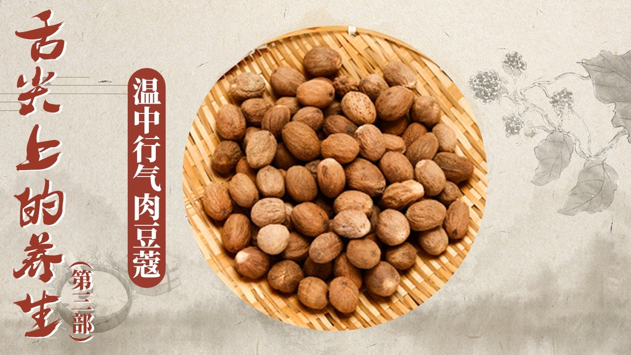 脾胃的长夏卫士！长夏湿气重易闹脾胃 这味藏在餐桌与药罐间的肉豆蔻 专护脾胃超靠谱！《百家讲坛》 舌尖上的养生（第三部） 11 温中行气肉豆蔻 20260131 | CCTV百家讲坛官方频道