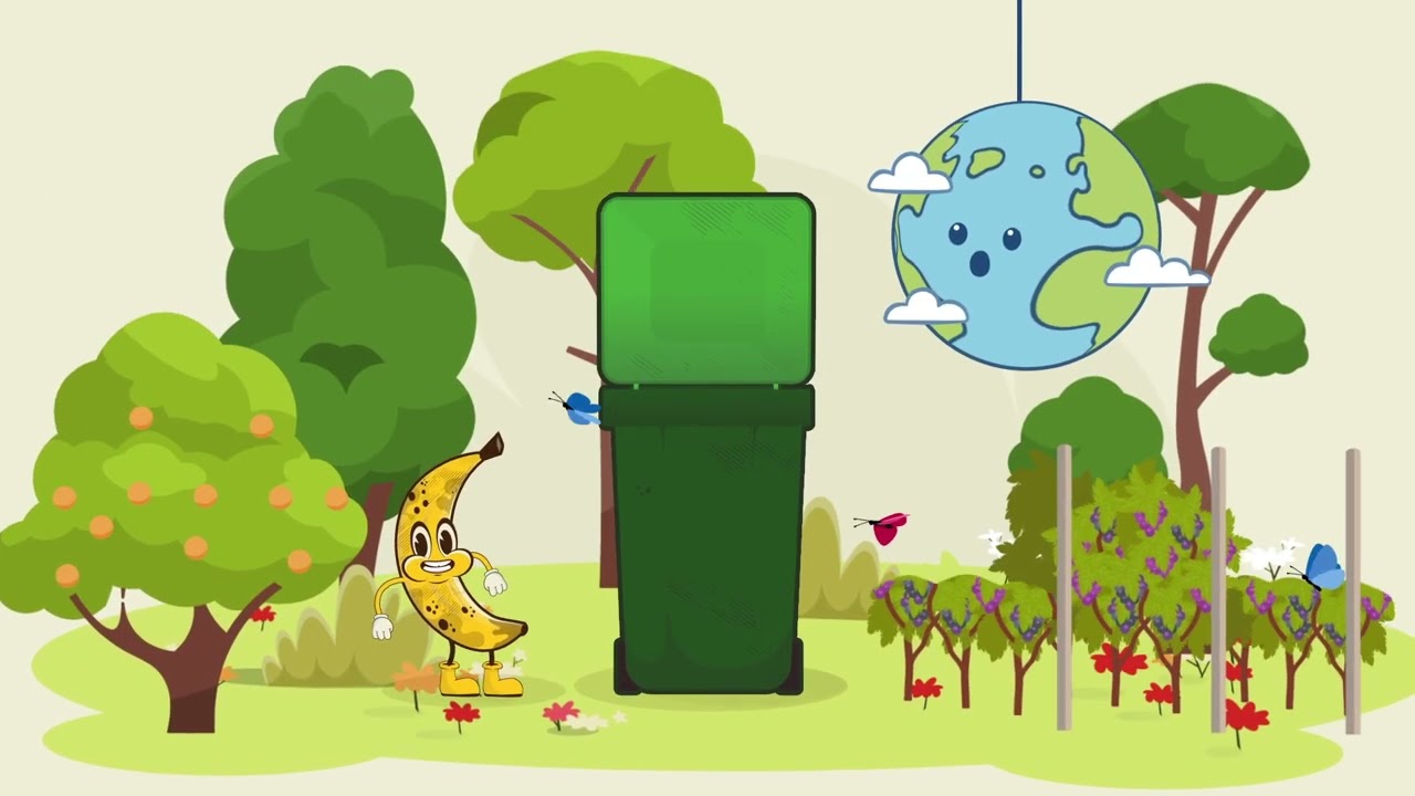 What goes in the green bin?