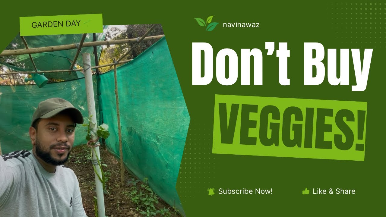 Home Gardening Vlog 🌿 | Seeding & Planting Malabar Spinach