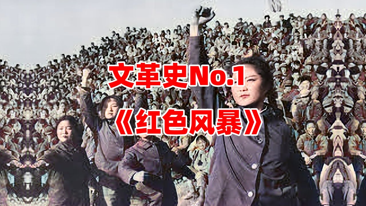 文革史【1】红色风暴&mdash;&mdash;北大马会【社科读物推荐】