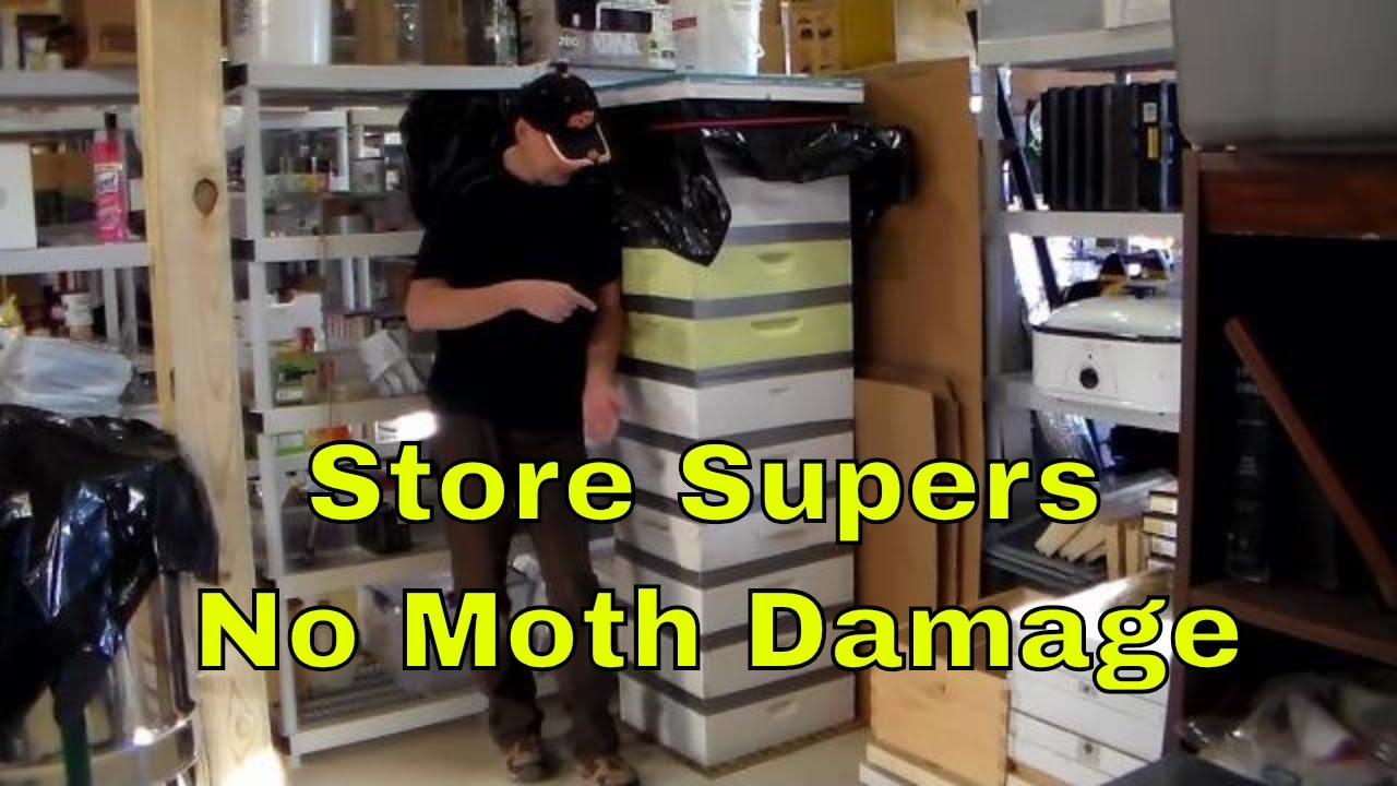 Storing Honey Supers Over Winter without Wax Moth Damage #beekeeping