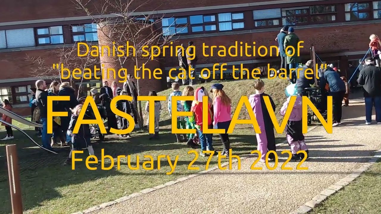 Danish beating-a-cat-to-death spring tradition - Fastelavn 2022