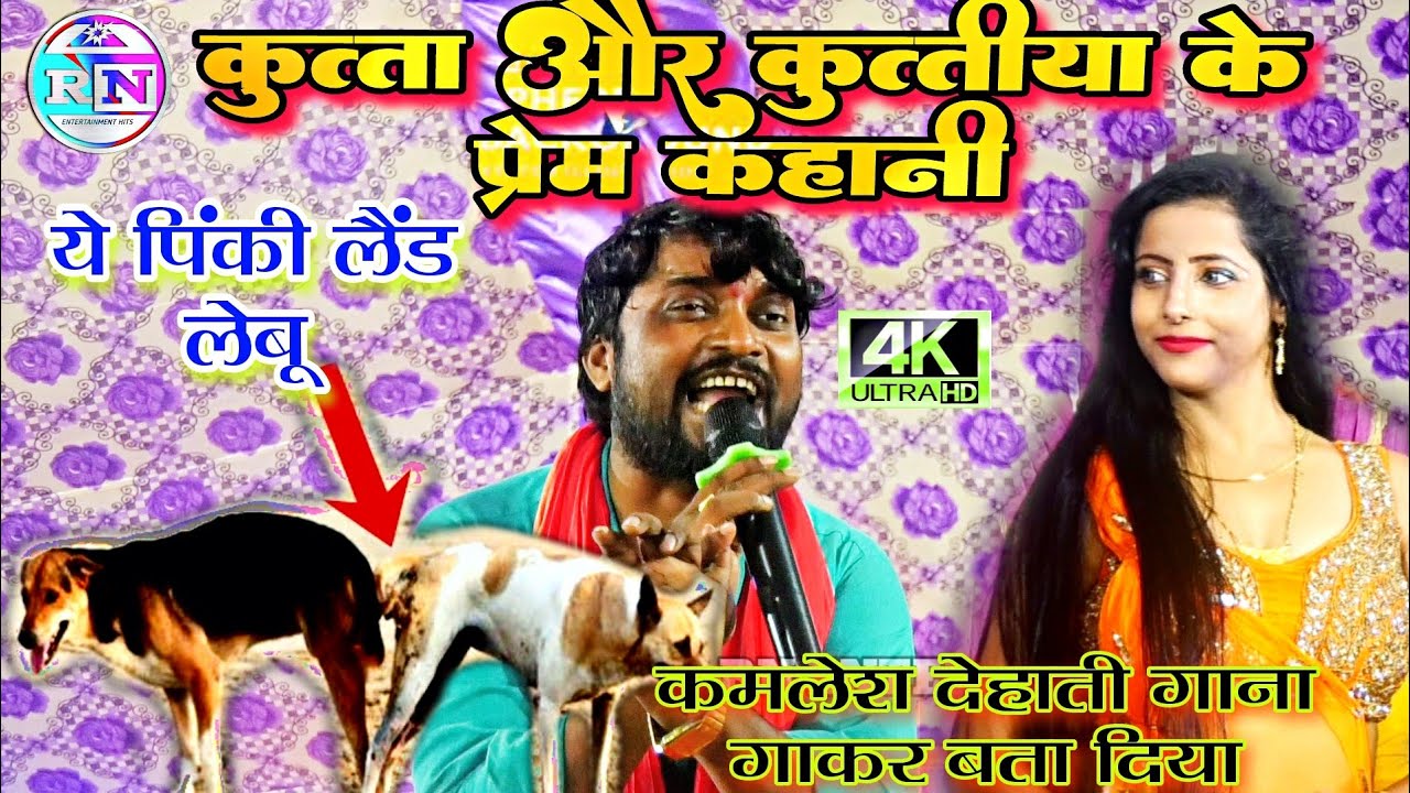 #Kamlesh#Dehati कुत्ता और कुतीया कईसे लेड लगाते हैं #कमलेश#देहाती गाना के भाव में बताएं #चुटकिला