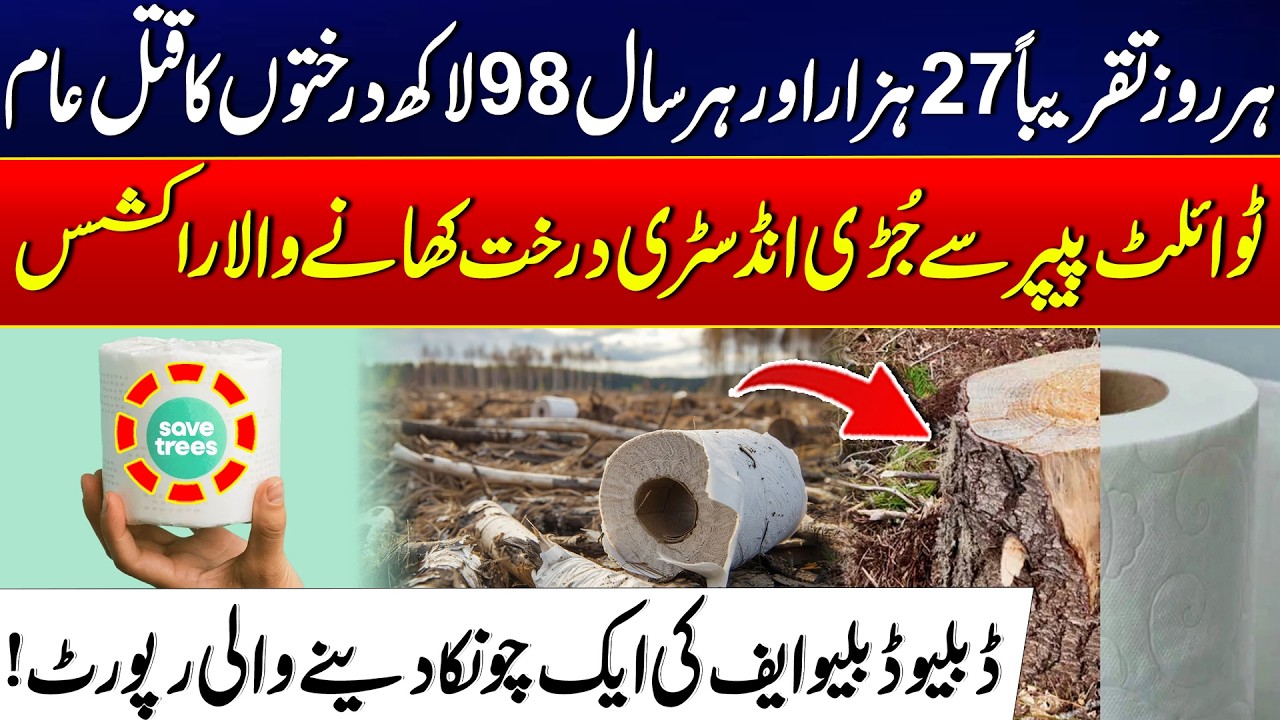 The Monster Eating Our Forests: How Toilet Paper is Destroying the Planet - WWF Shocking Report