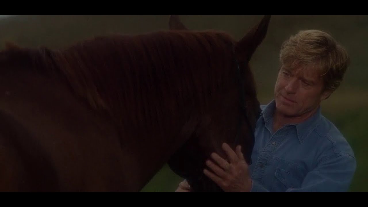 The Horse Whisperer - leave the phone