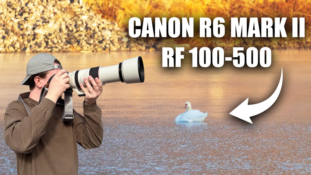 Morning Bird Photography At The Lake (Video Highlights)