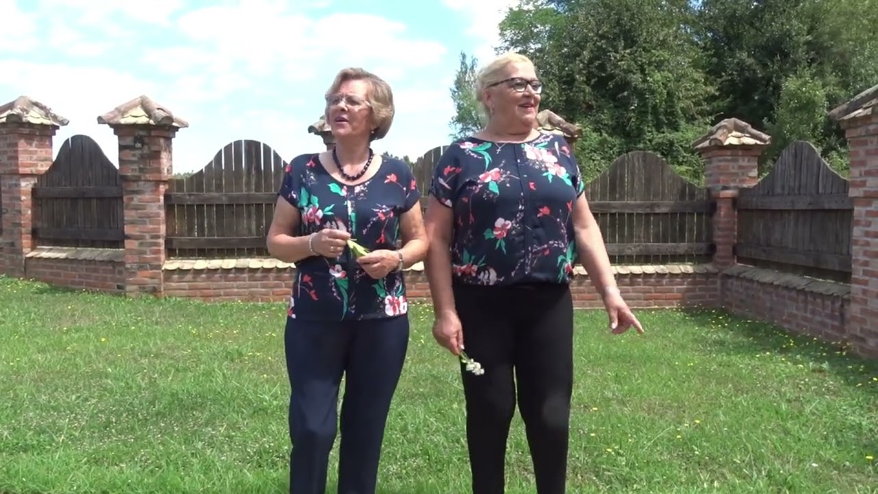 Tajne uspomene - Ajd zapjevaj Posavino - Novo 2023.(official video Music)