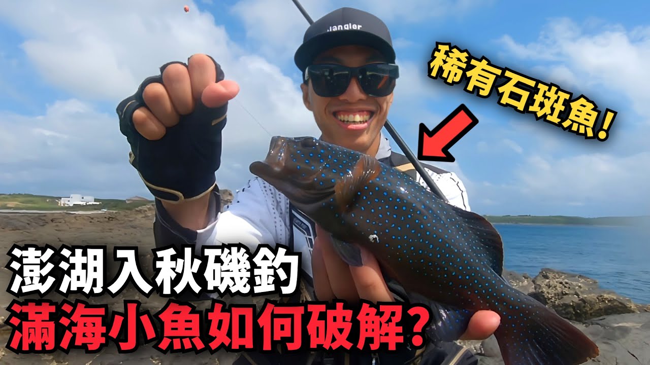 【磯釣】超稀有的青條石斑! 澎湖秋天磯釣季開跑，遇到滿海的小魚要如何破解呢? | 澎湖學仔尾 | 2023秋
