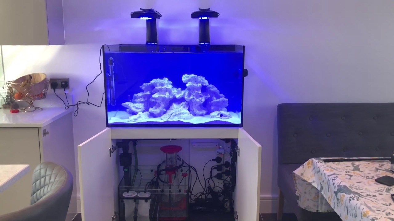 Red Sea Reefer 250 Episode 4: Arrival and Installation #redseareefer #reeftank