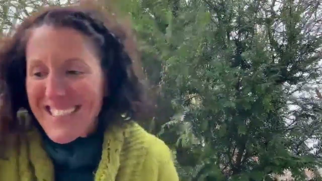 Atelier Sylva fresque animé par Anne Sophie Ayache au festival Ecoutons nos racines 2026