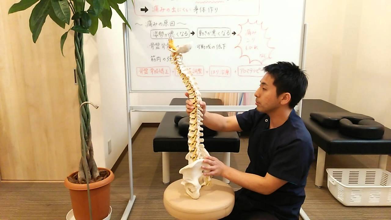 伊勢崎の整骨院｜口コミ１位の伊勢崎てらい整骨院の治療コンセプト