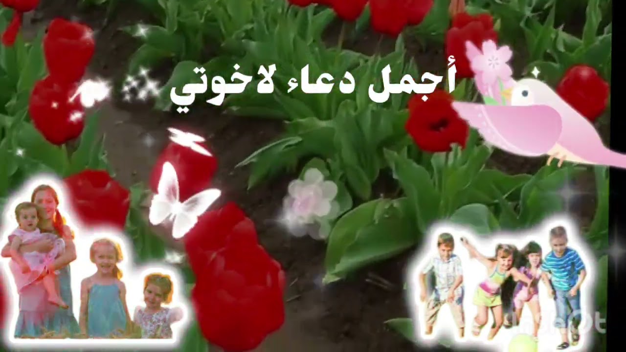 دعاء لاخوتي ♡اجمل ما اهديه لاخوتي/رجاء 👍لايك 💞للفيديو 💕أدعية ♡أجمل ما ستسمع ♕أدعية
