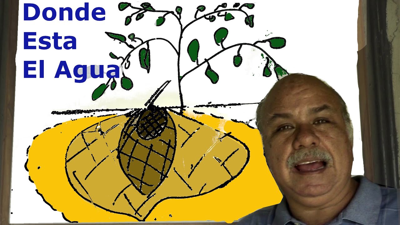 ¿Que es el bulbo húmedo en riego por goteo? Distribución de Humedad en el Suelo