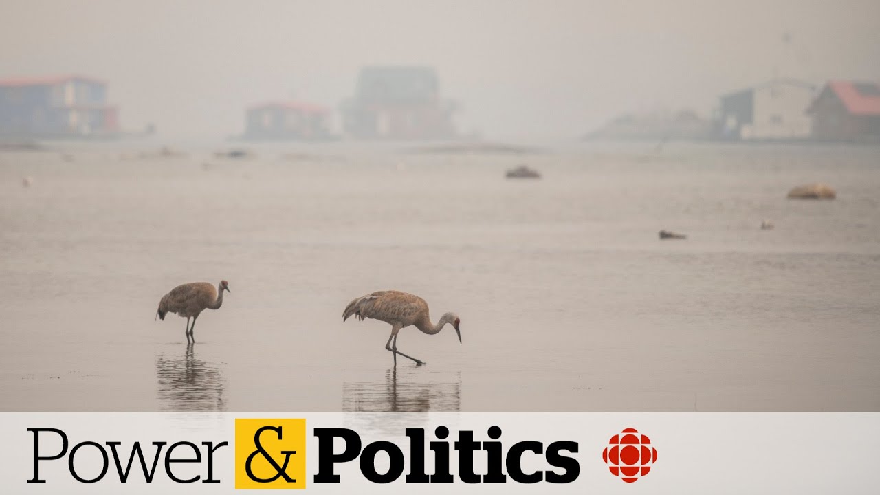 Ottawa needs to 'step up,' says N.W.T. premier as wildfires rage