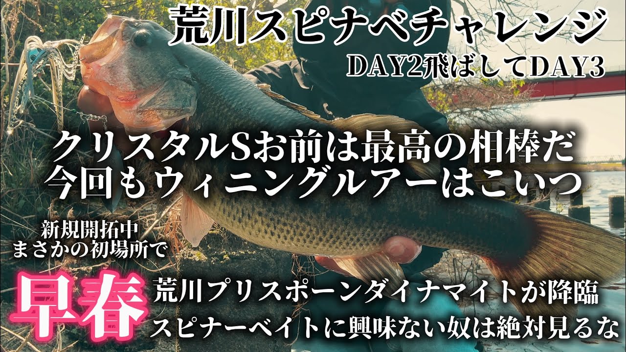 荒川プリスポーンダイナマイト降臨したお知らせ。【クリスタルS】【ノリーズ】【スピナーベイト 】【荒川スピナベチャレンジ】【荒川バス釣り】