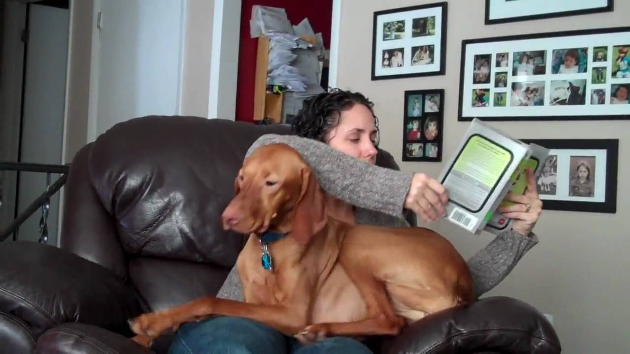Reading with Nell (or NOT)