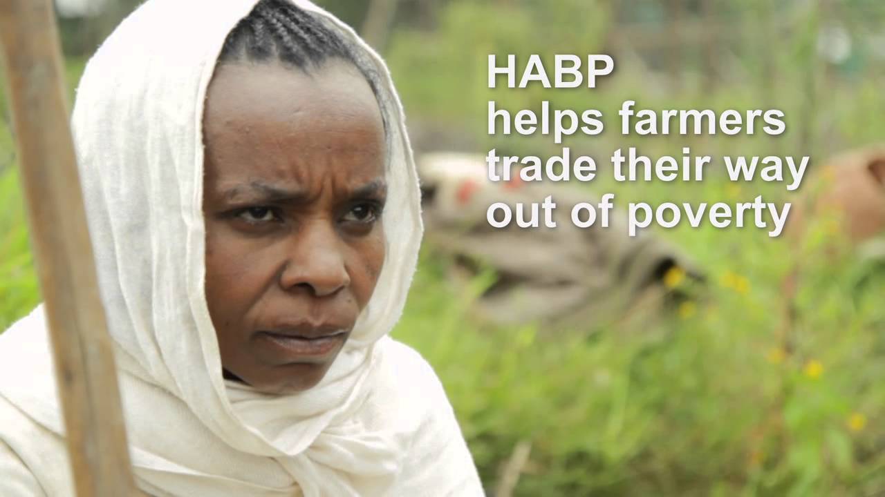 PSNP documentary