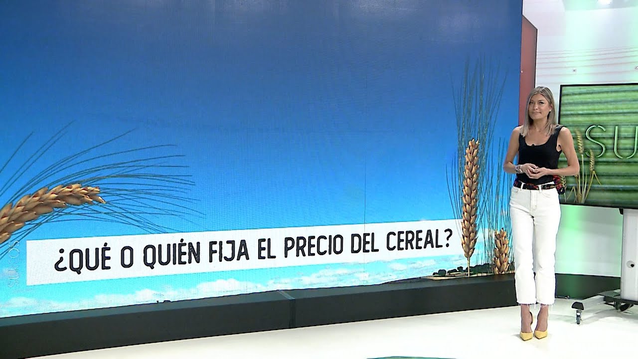 Surcos CyL T16/E36: ¿Cómo se fija el precio del cereal?