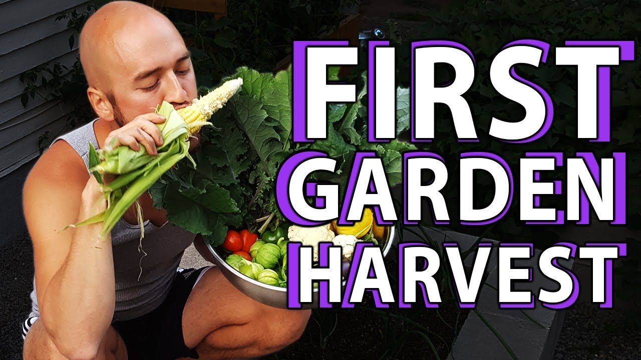 The First Garden Harvest Is Life Changing