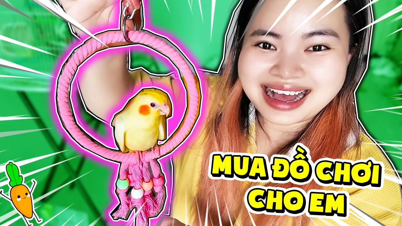 KAMUI MUA ĐỒ CHƠI CHO EM VẸT MÁ HỒNG VÀ BÉ KẸO