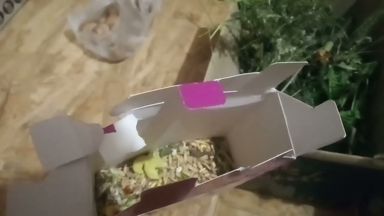 Асмр Новий дім мого хом'ячка Борі🐹 Asmr My hamster's new home