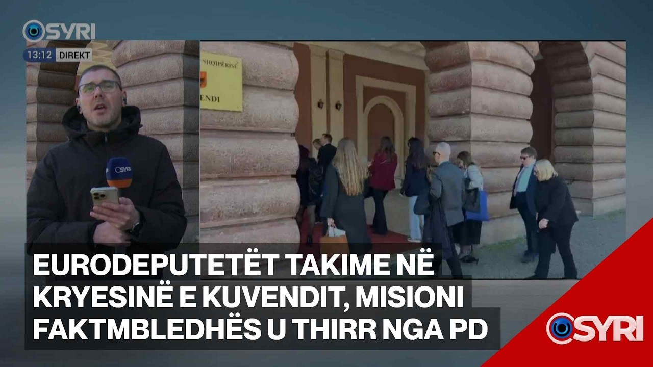 Eurodeputetët takime në kryesinë e Kuvendit, misioni faktmbledhës u thirr nga PD