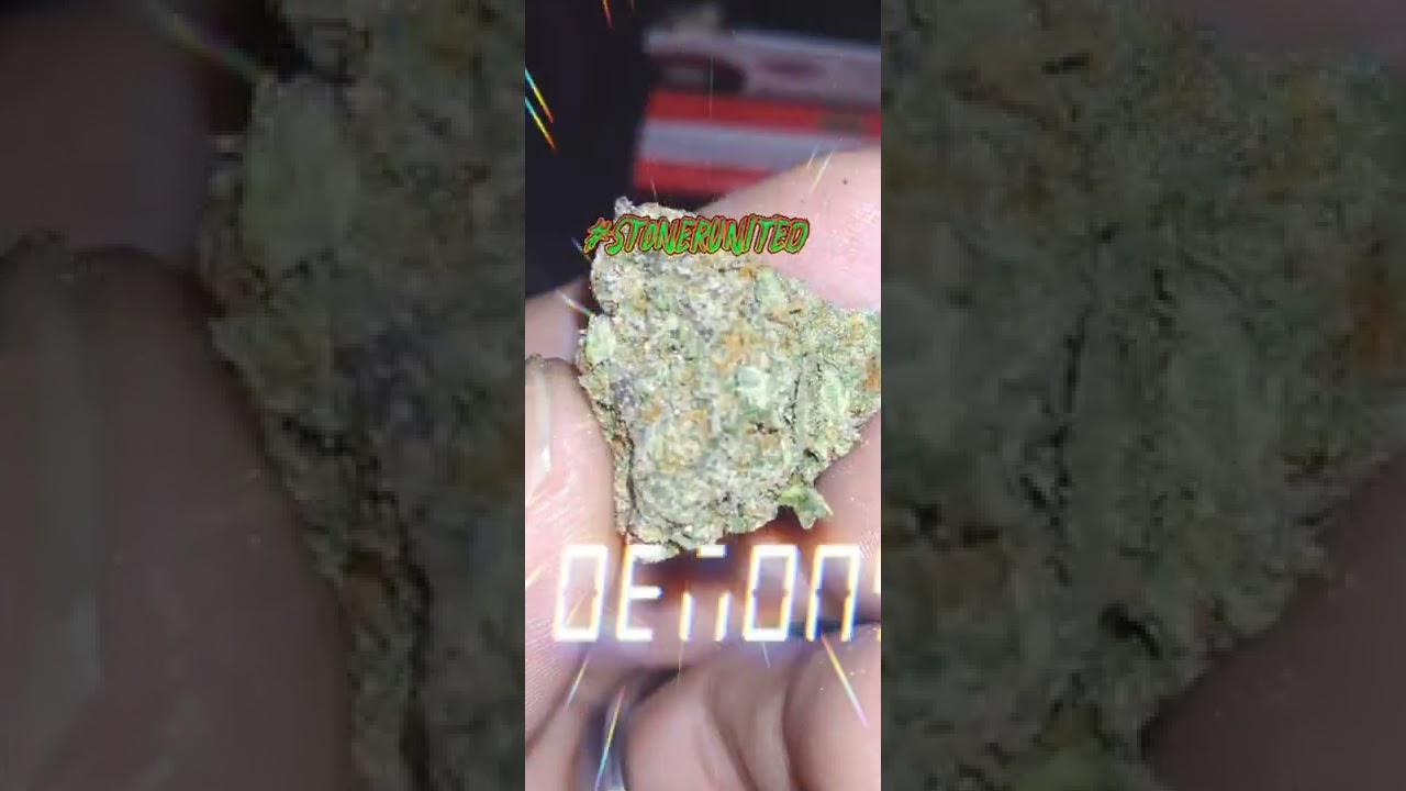 snow leopard kush/weed