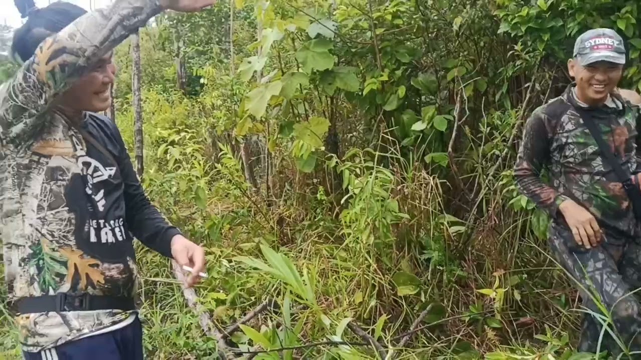 Cerita anak bangka dua hari dua malam pergi bertualang ke dalam hutan mencari babi hutan untuk lauk.