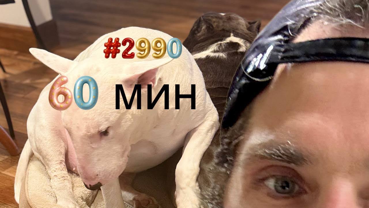 РУСЯ IN AMERiCA. в прямом эфире!