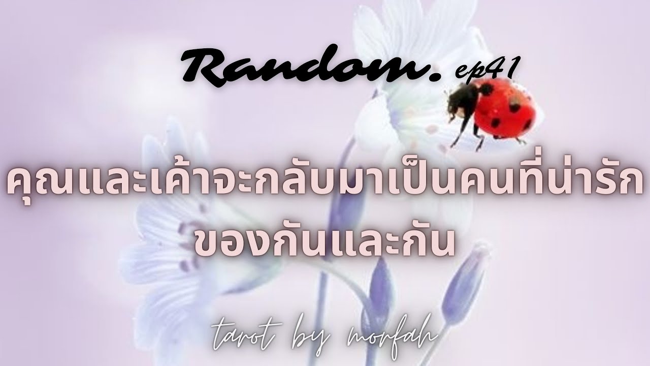 ❤️Random❤️EP.41 คุณและเค้าจะกลับมาเป็นคนรักที่น่ารักของกันและกัน🎉👫💐