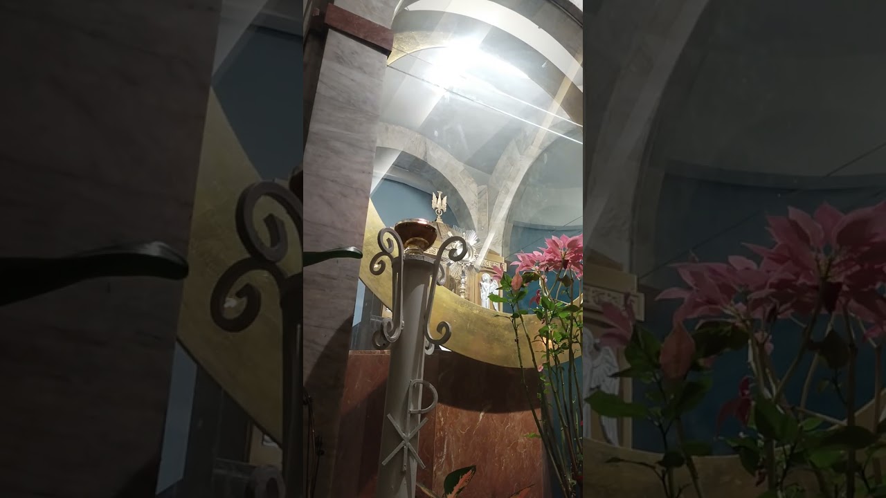 The Blessed Sacrament (ADORATION CHAPEL 