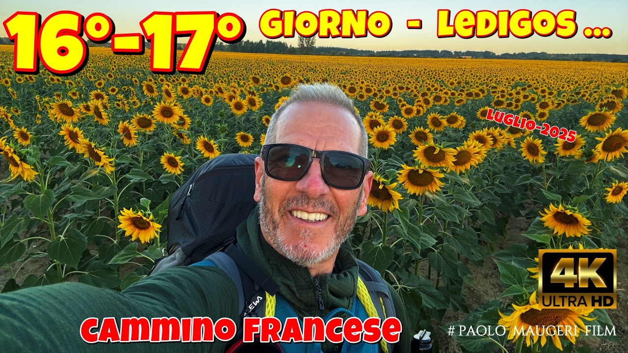 Cammino Francese per Santiago de Compostela-Giorno 16° 17°