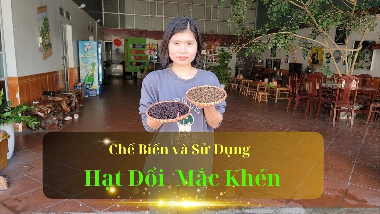 Chế Biến Và Sử Dụng Hạt Dổi Mắc Khén | COMBO Mắc Khén Hạt Dổi Để Sử Dụng