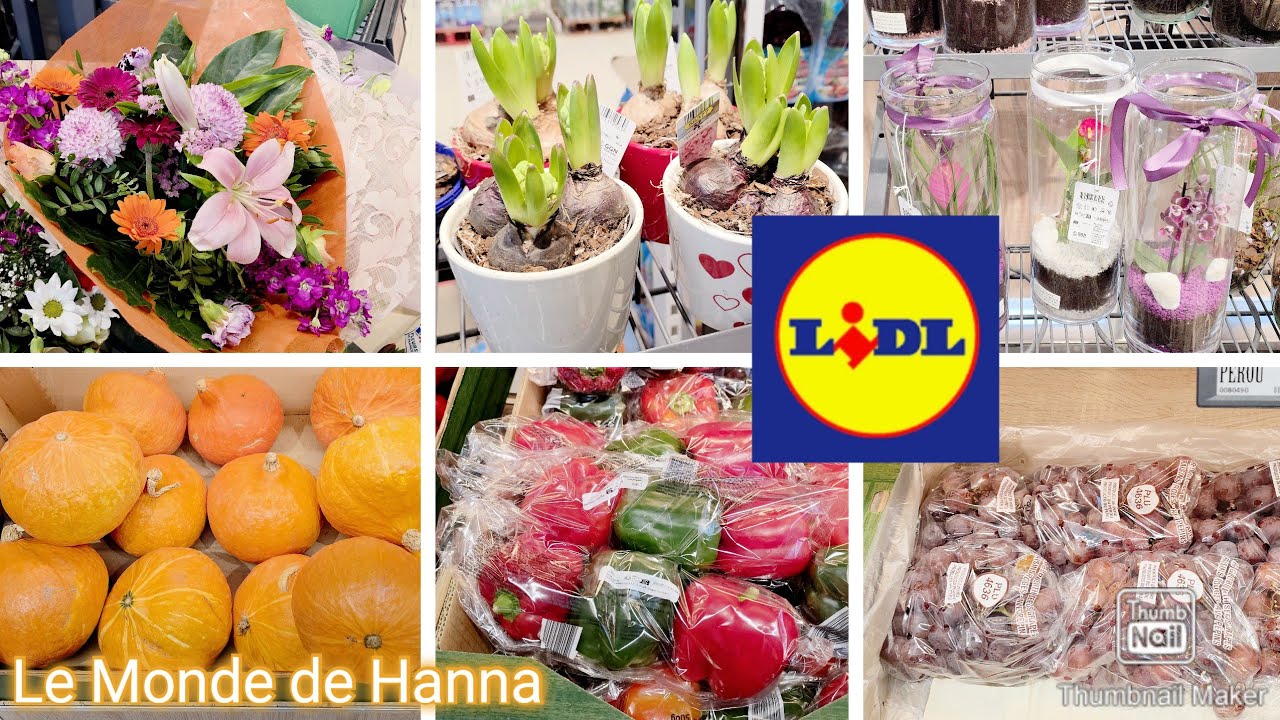 LIDL FRANCE ARRIVAGE 12-02 PLANTES FRUITS ET LÉGUMES 