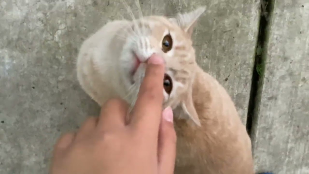 Her name is ashgoomunufuhguh.