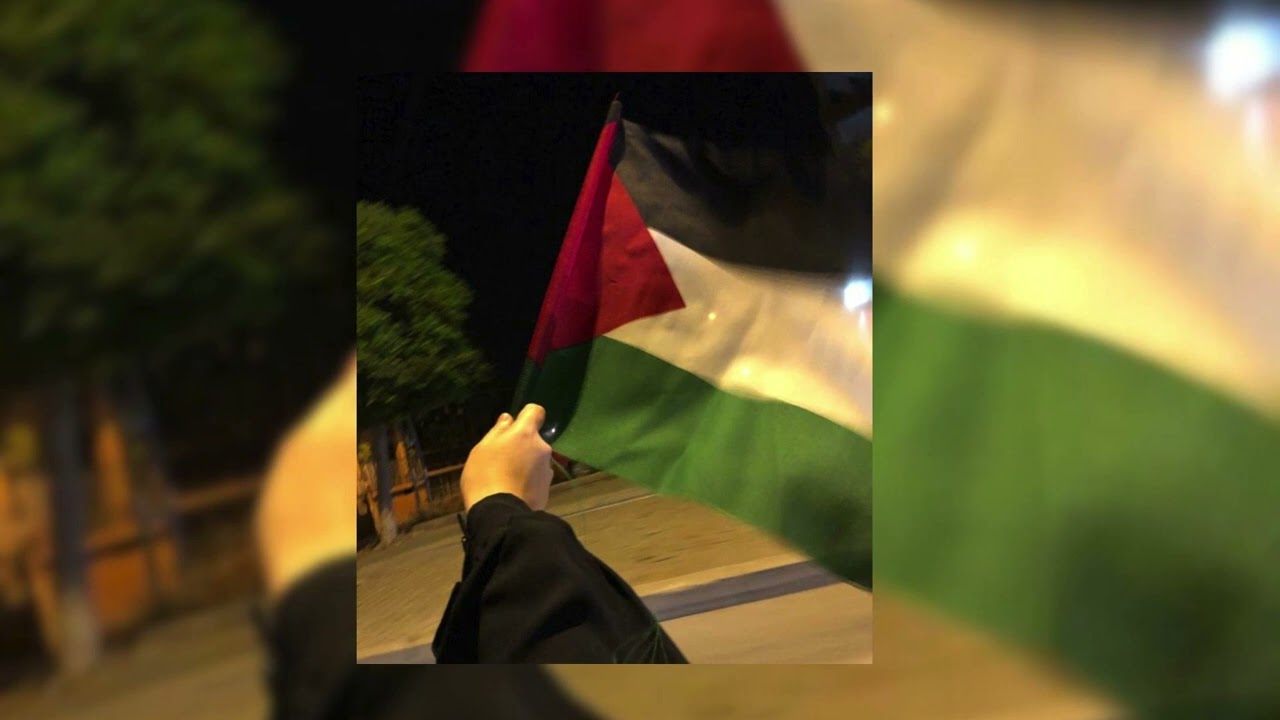 Dammi Falastini   Mohammed Assaf Speed Up 🇵🇸