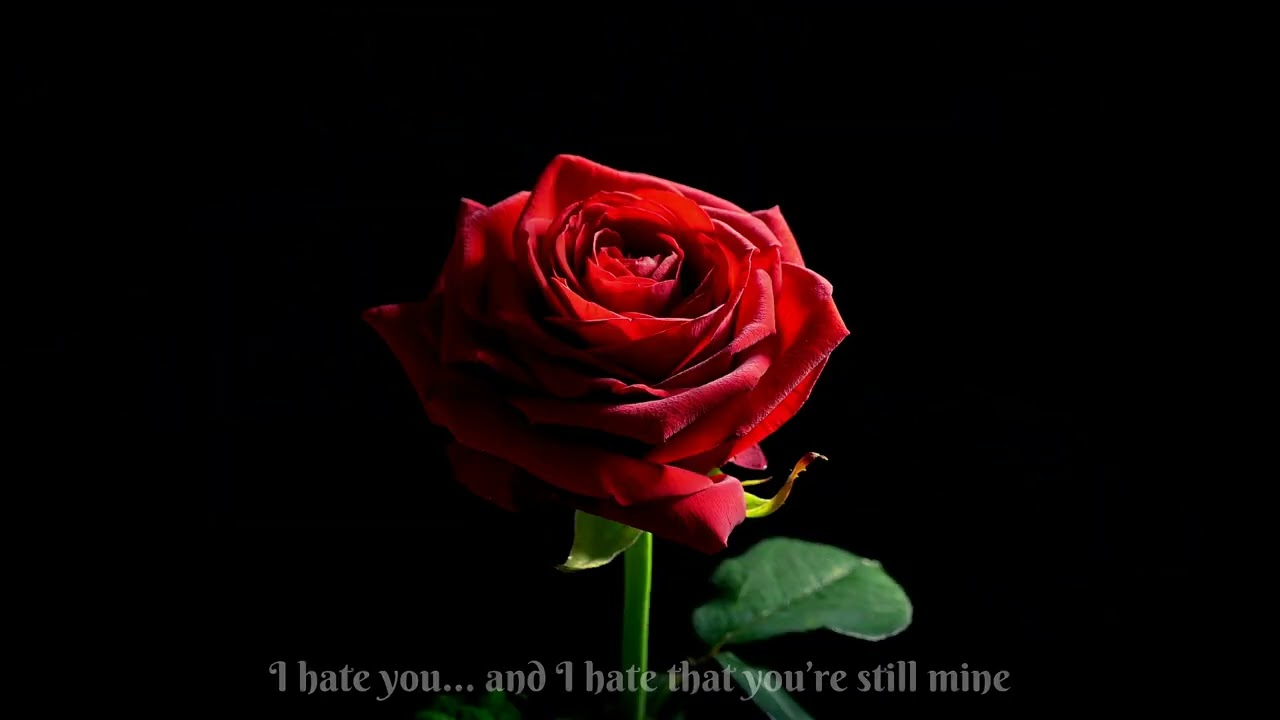 Betrayal