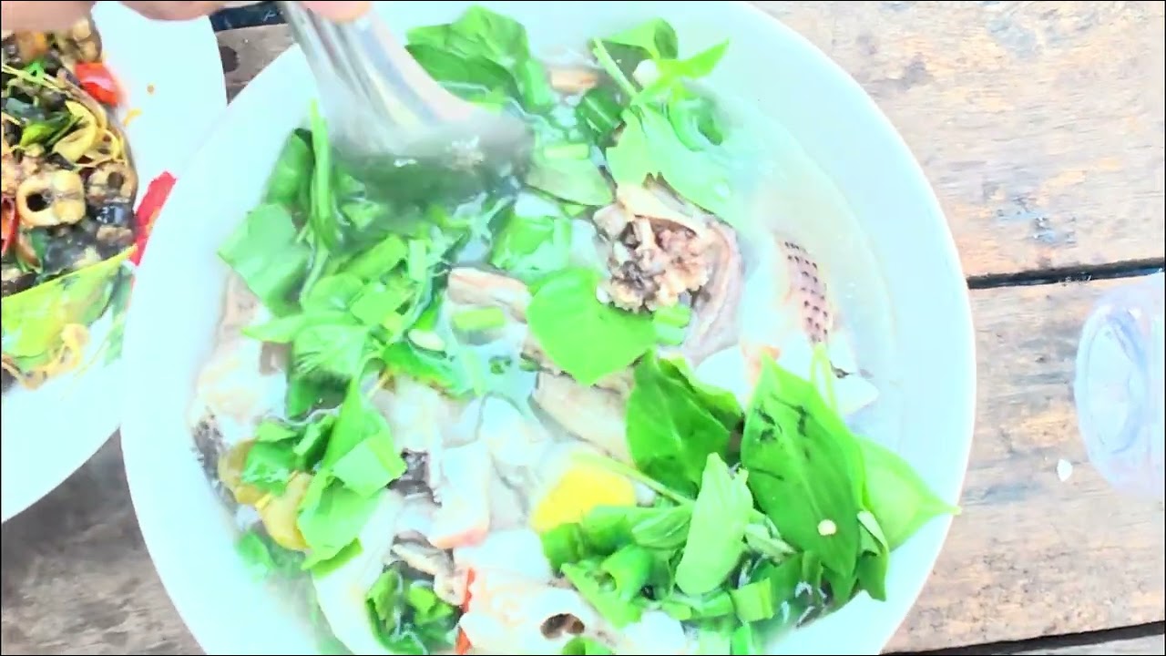 មកបឹងទ​ន្លេសាបទៀតហេីយ🎣🎣🎣#fishing #shimano #casting @nopbav2851 