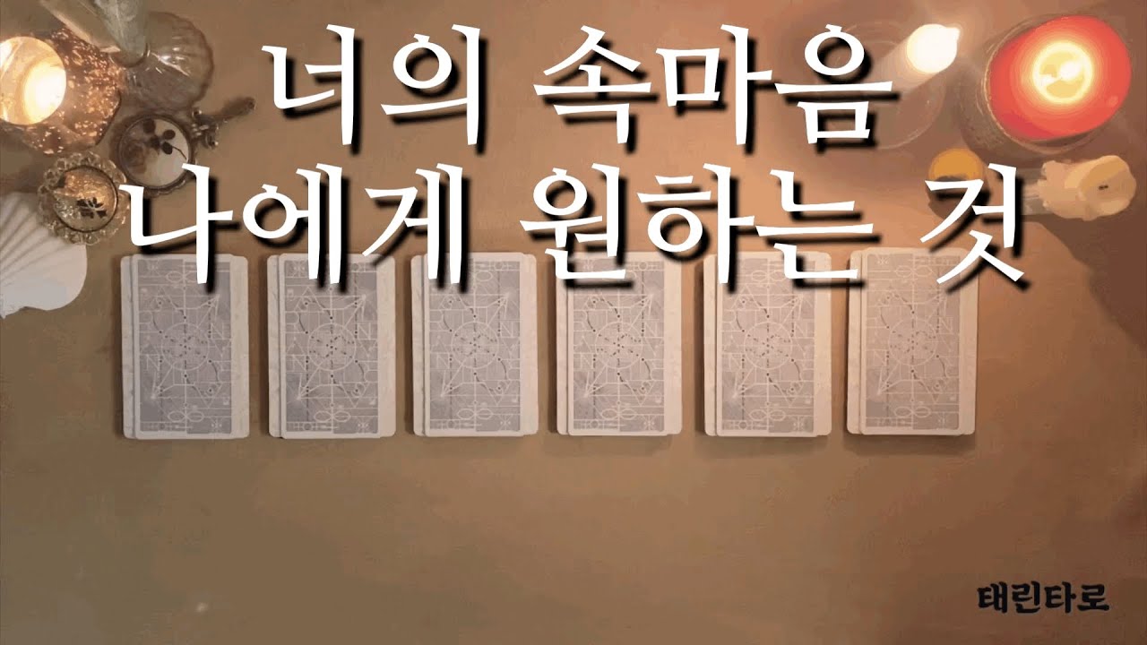 [태린타로] 상대방이 원하는 것 /속마음 /타로/연애운